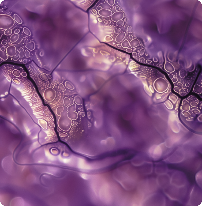 Mediterranean Algae extract in sunscreen