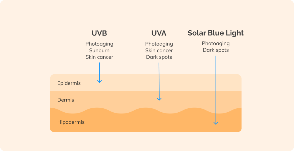 what free radicals do to skin